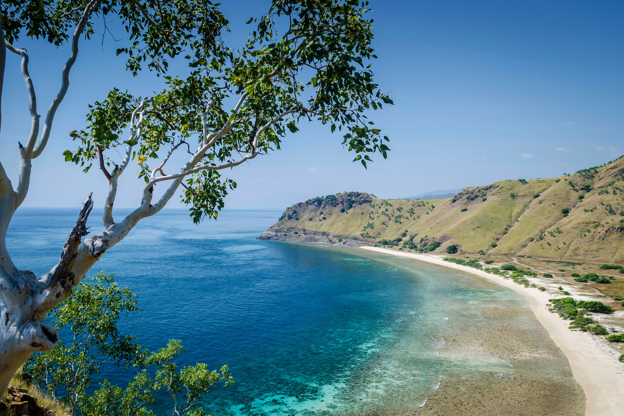 baucau (4).webp